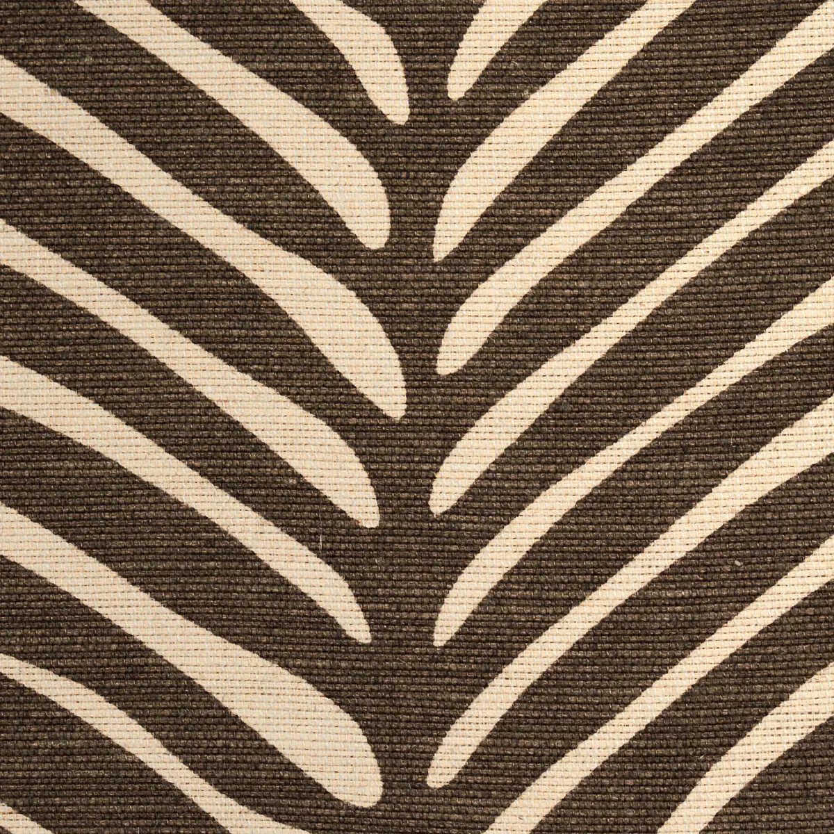 ZEBRA PALM_ JAVA