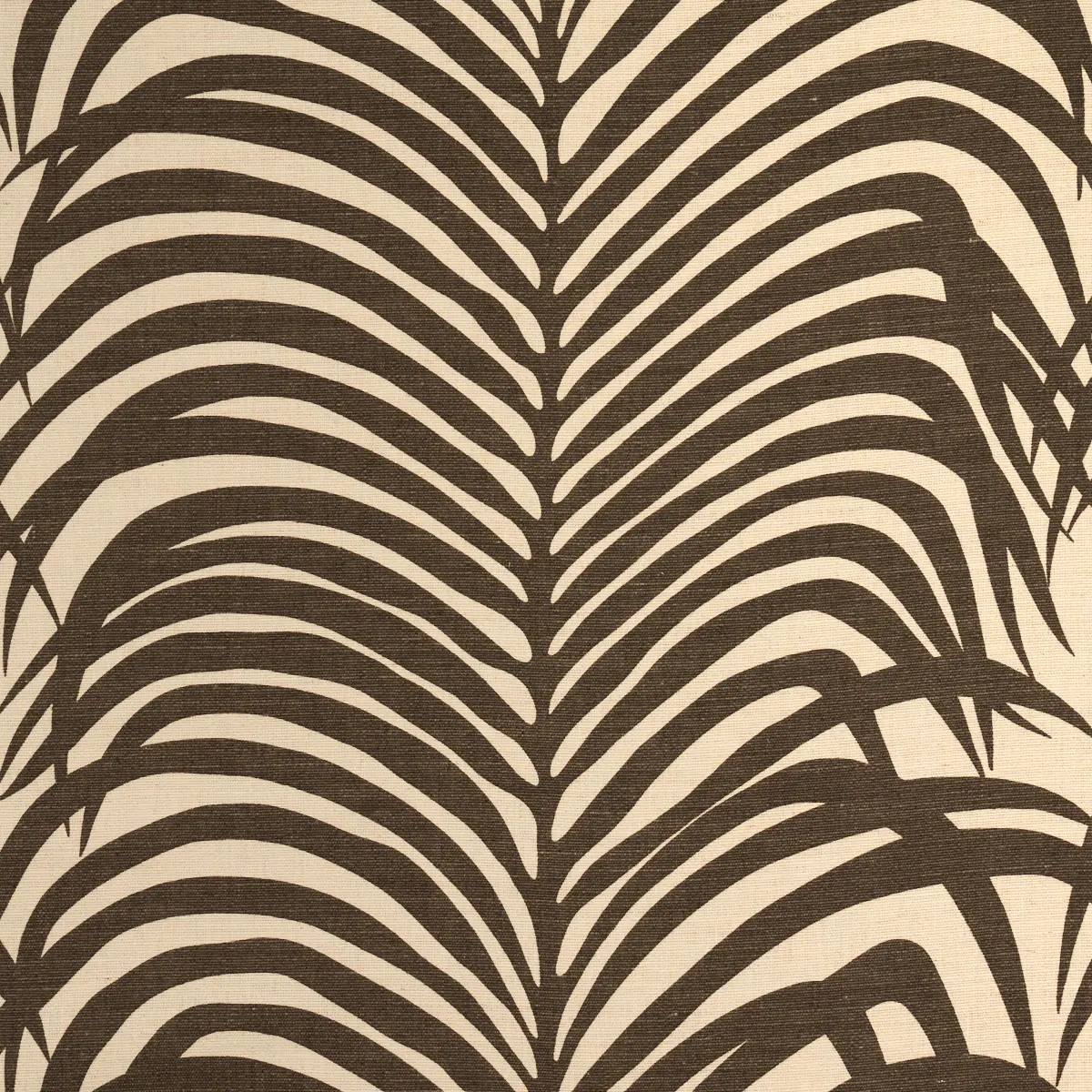 ZEBRA PALM_ JAVA