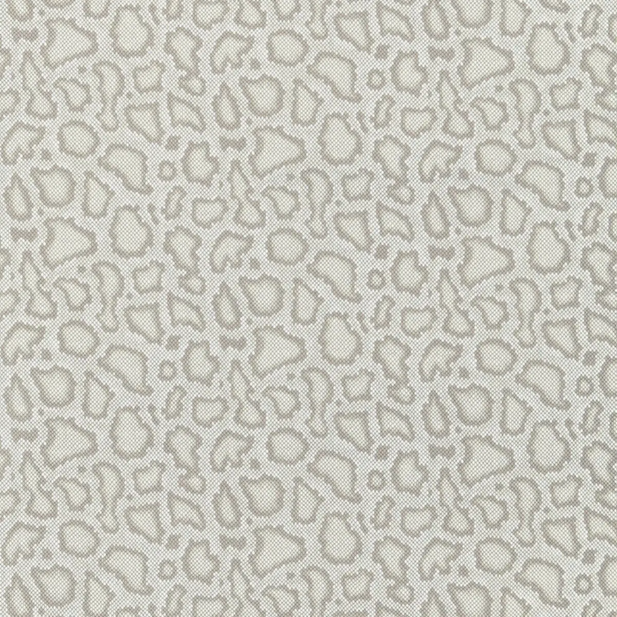 PARK AVENUE PYTHON_ DOVE