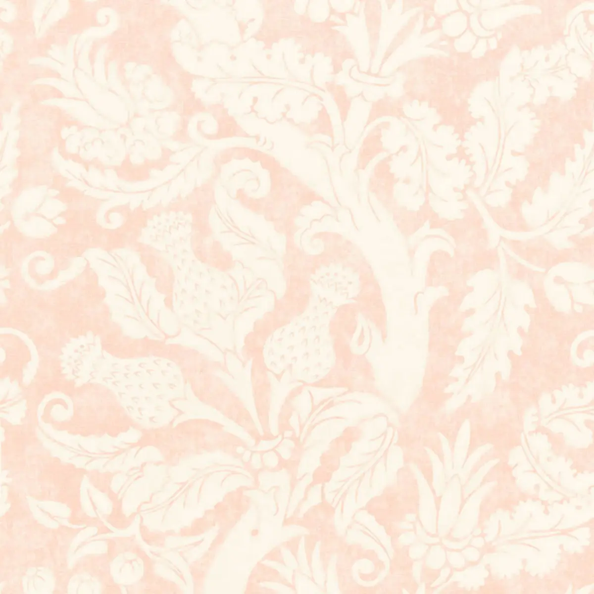 VILLA DE MEDICI_ BLUSH CONCH