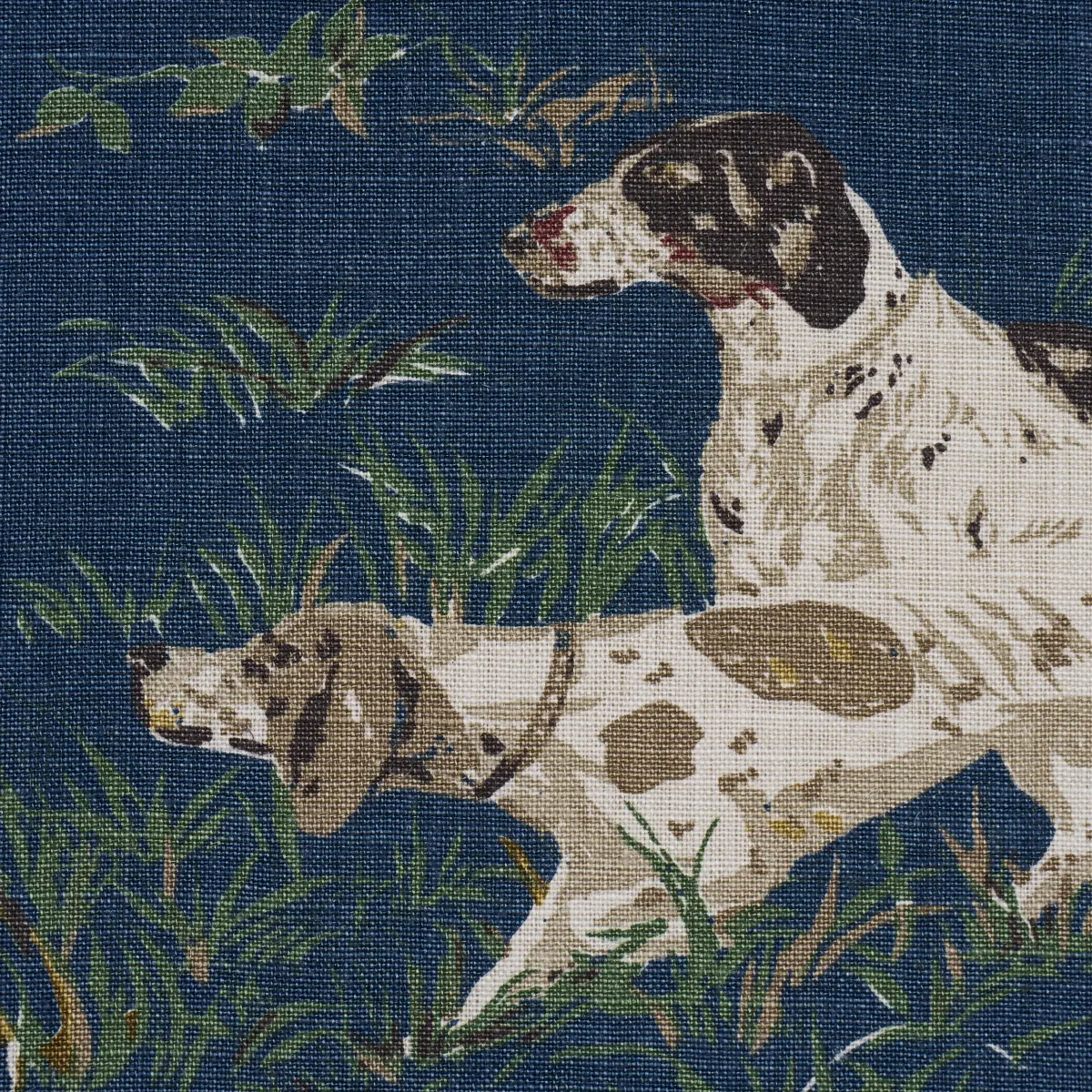 POINTERS_ INDIGO