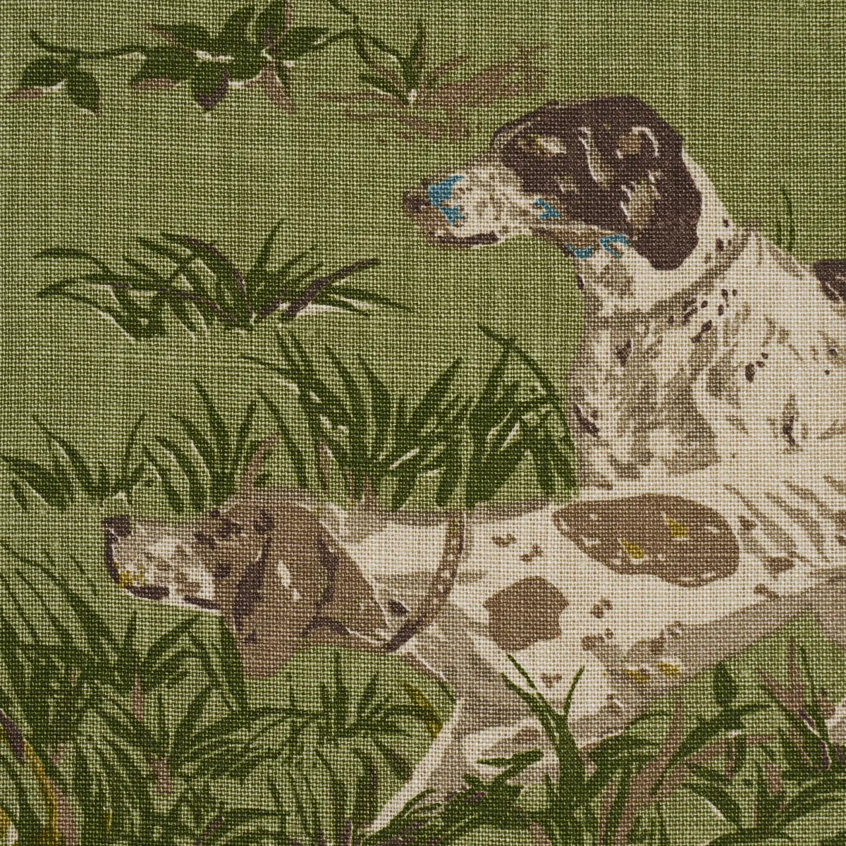 POINTERS_ MEADOW
