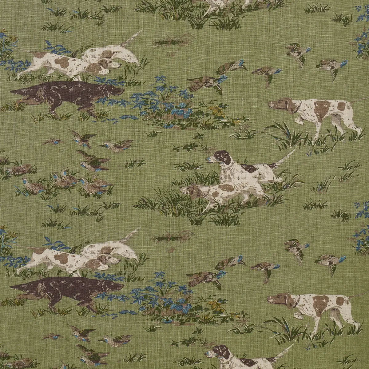 POINTERS_ MEADOW