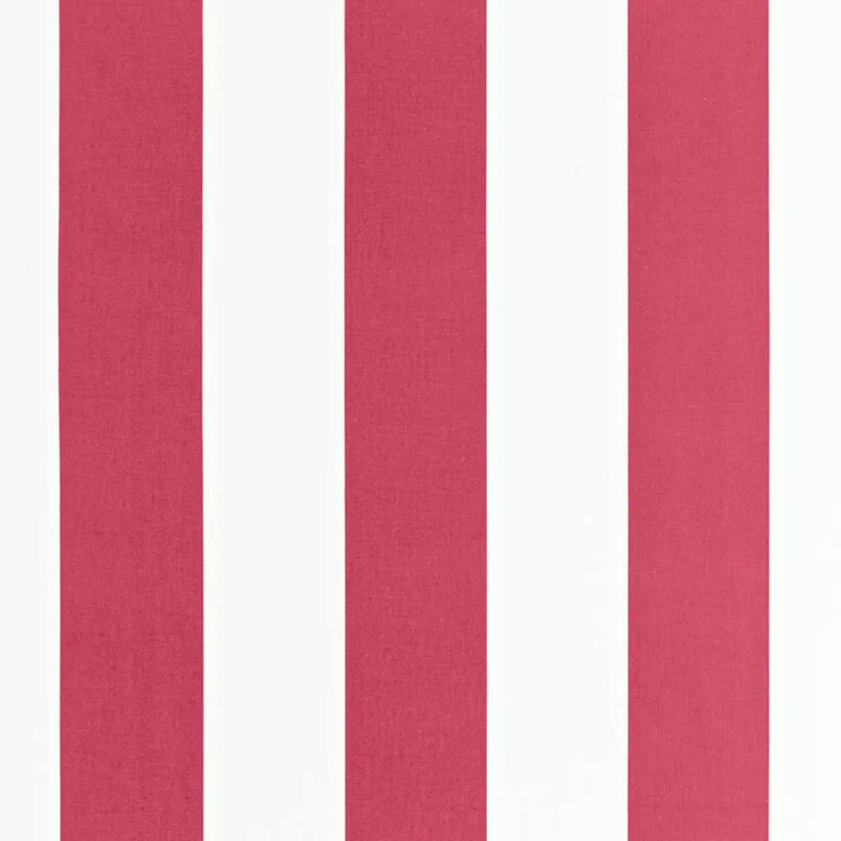 GEYER STRIPE_ APPLE