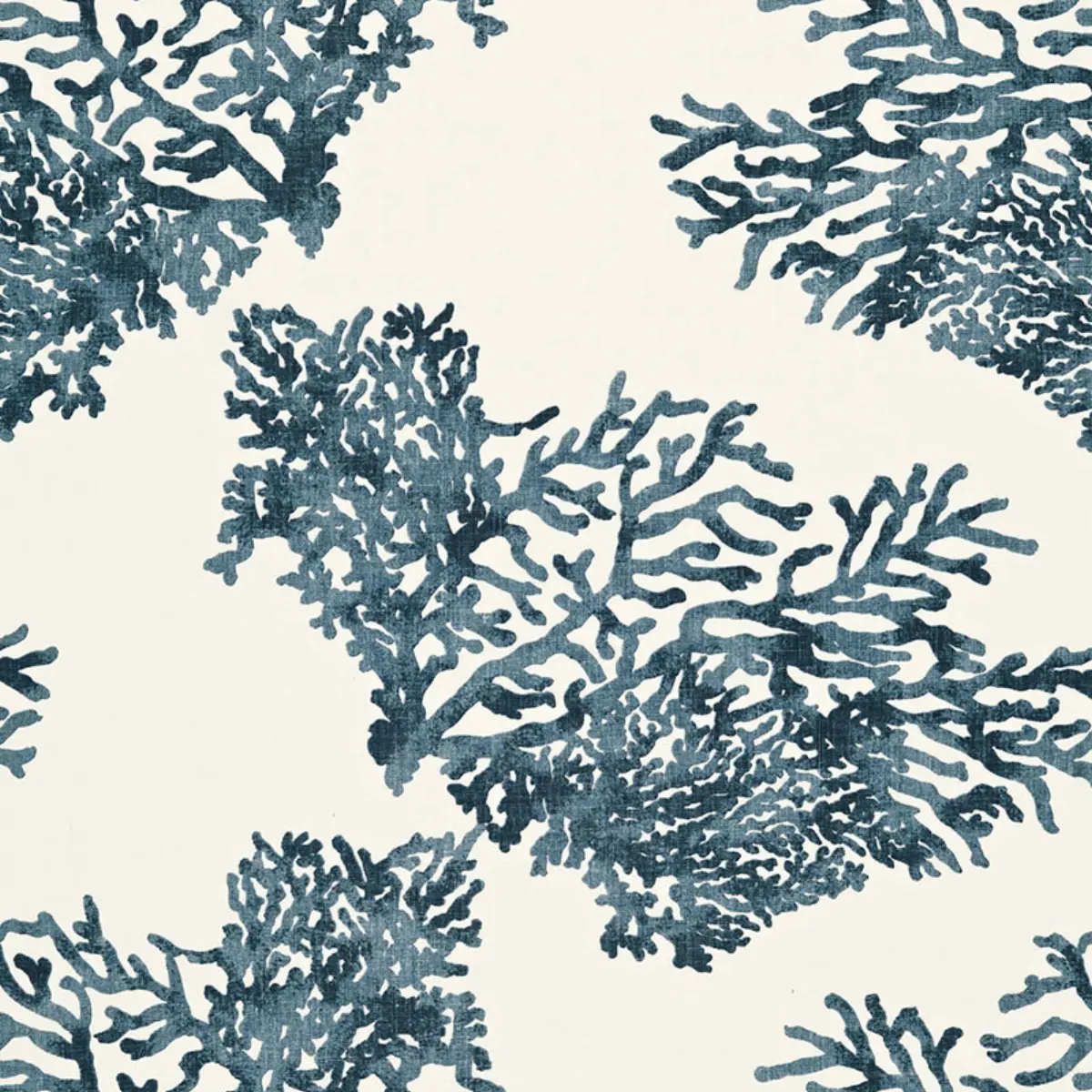 GREAT BARRIER REEF_ INDIGO
