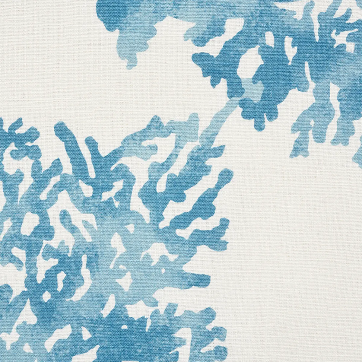 GREAT BARRIER REEF_ BLUE
