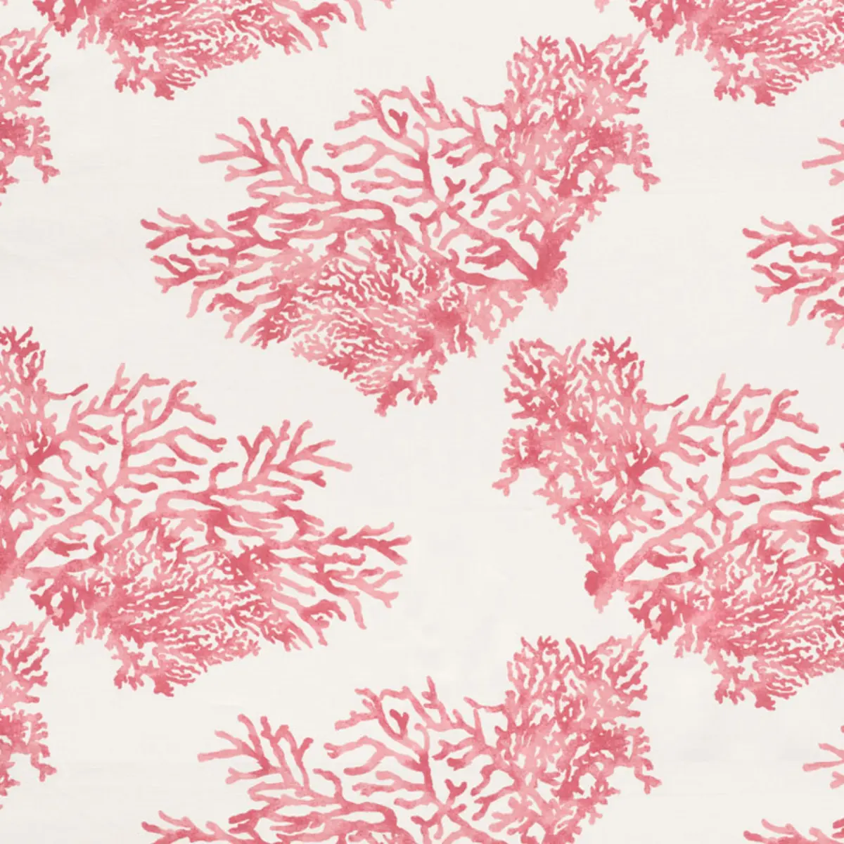 GREAT BARRIER REEF_ PINK