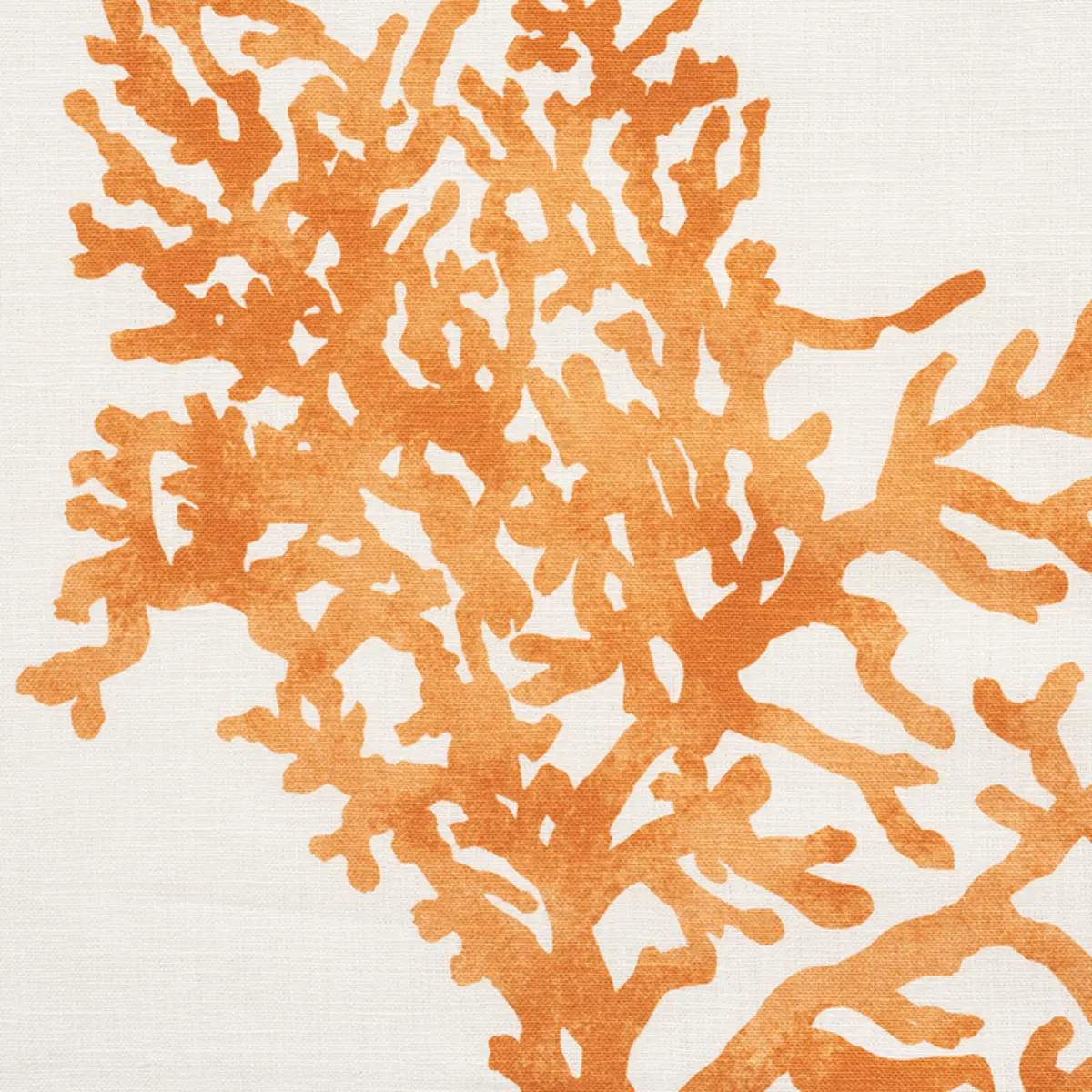 GREAT BARRIER REEF_ ORANGE