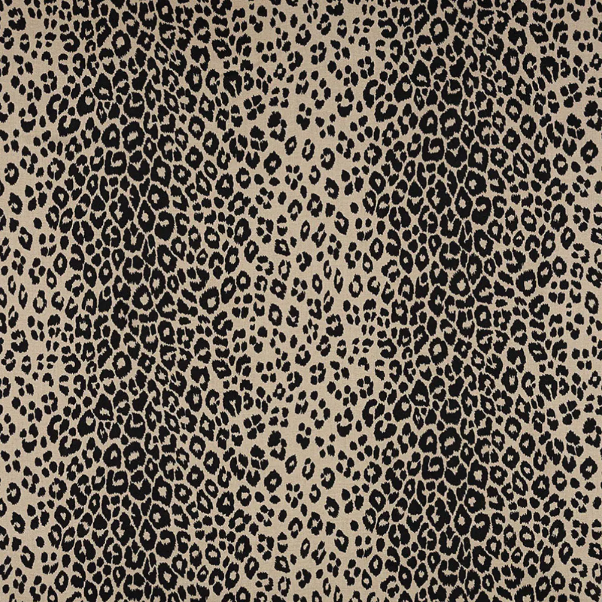ICONIC LEOPARD_ EBONY/NATURAL