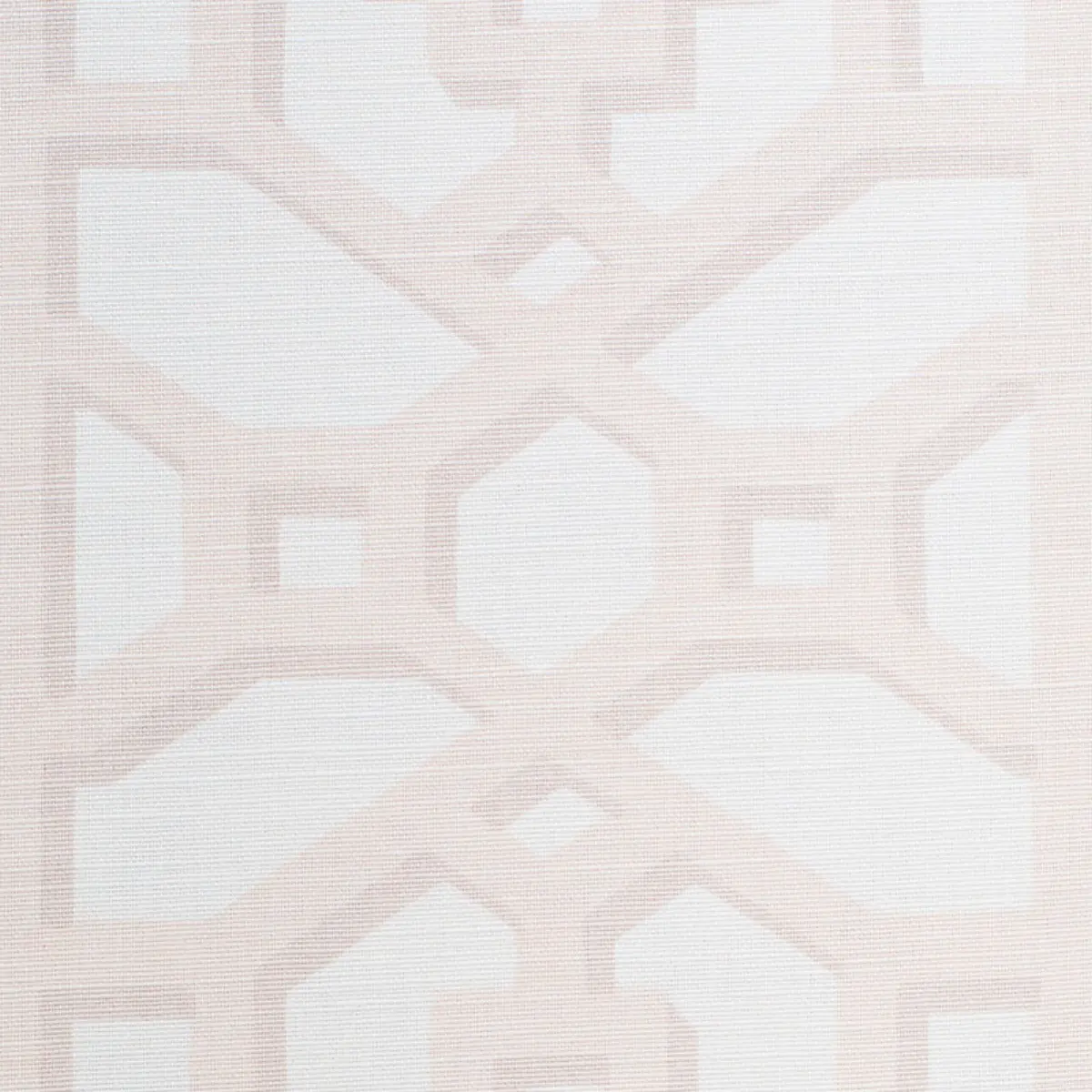 ZANZIBAR TRELLIS MATTE_ BLUSH