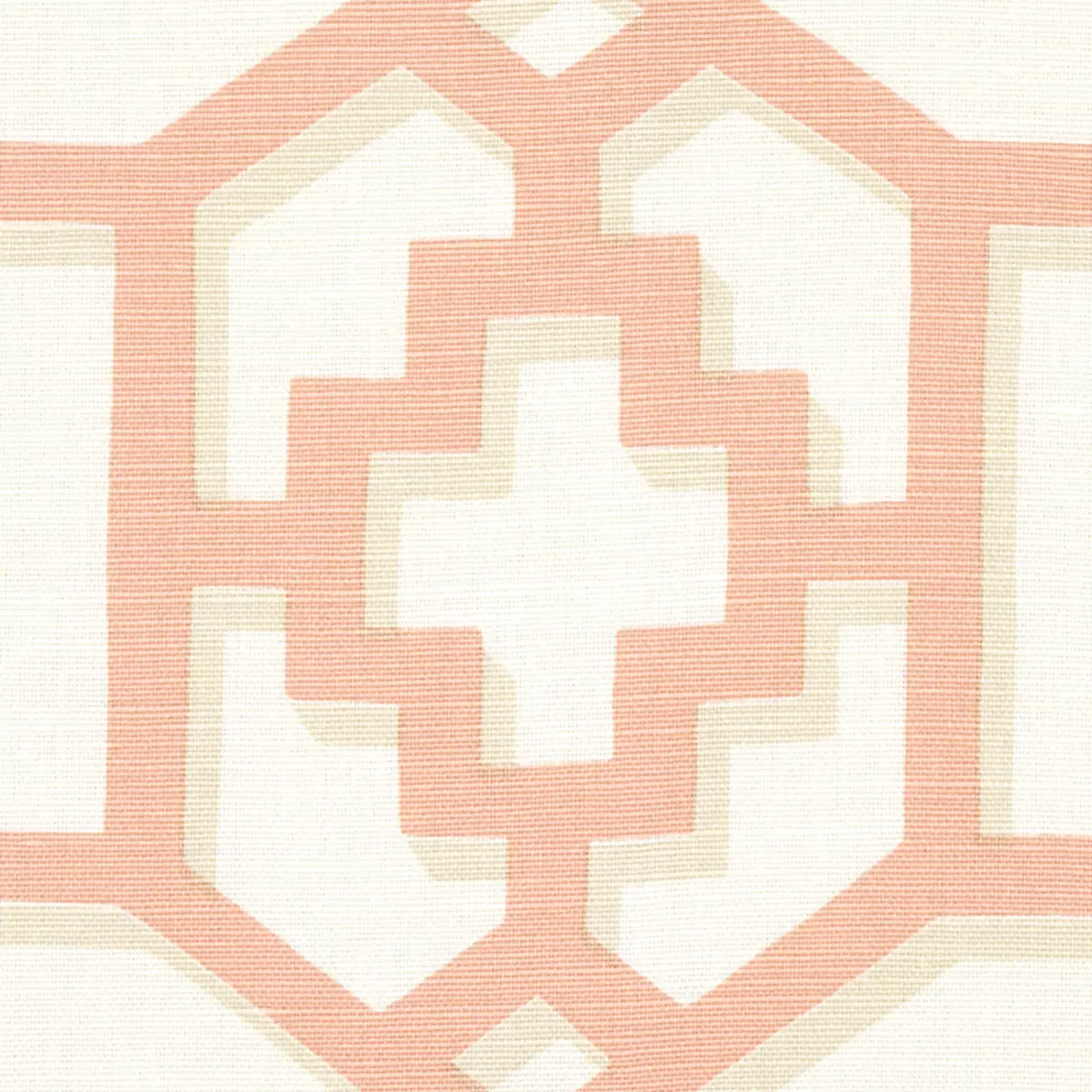 ZANZIBAR TRELLIS_ CORAL