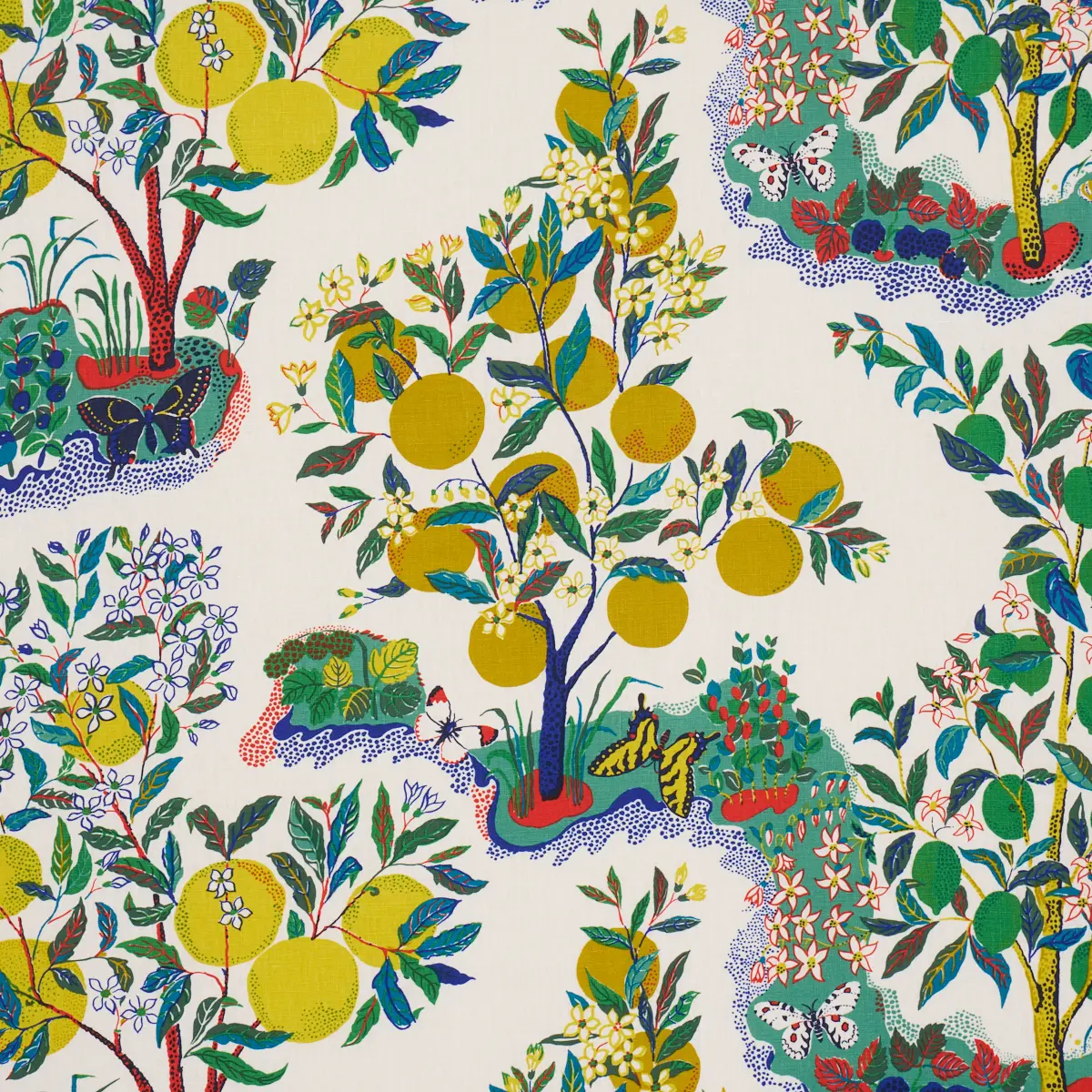 CITRUS GARDEN_ PRIMARY