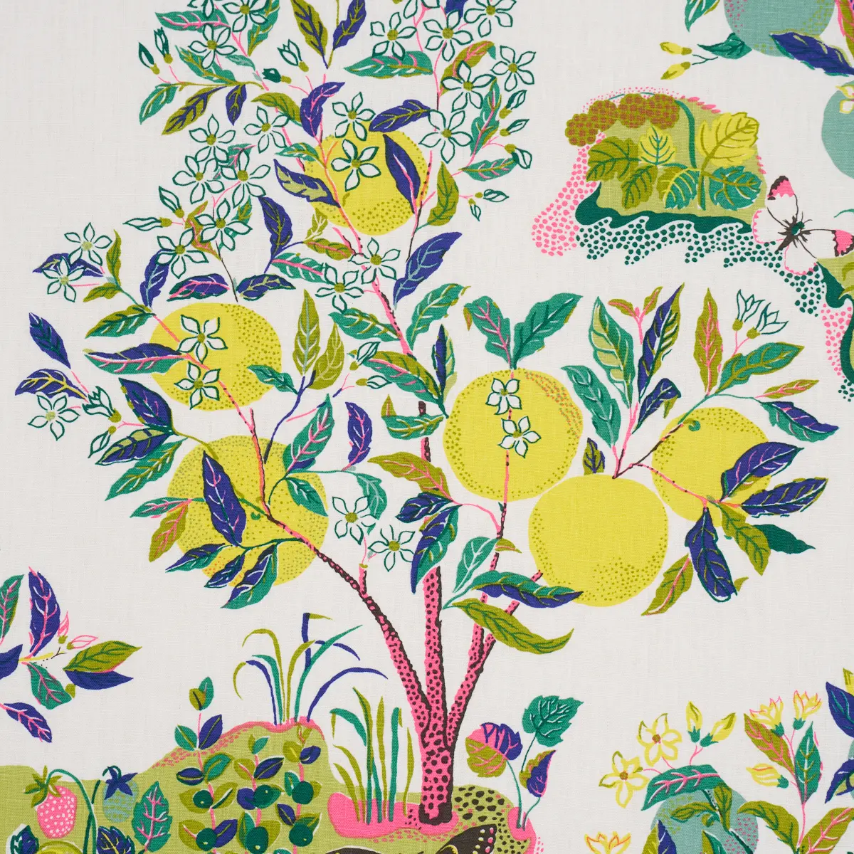 CITRUS GARDEN_ LIME