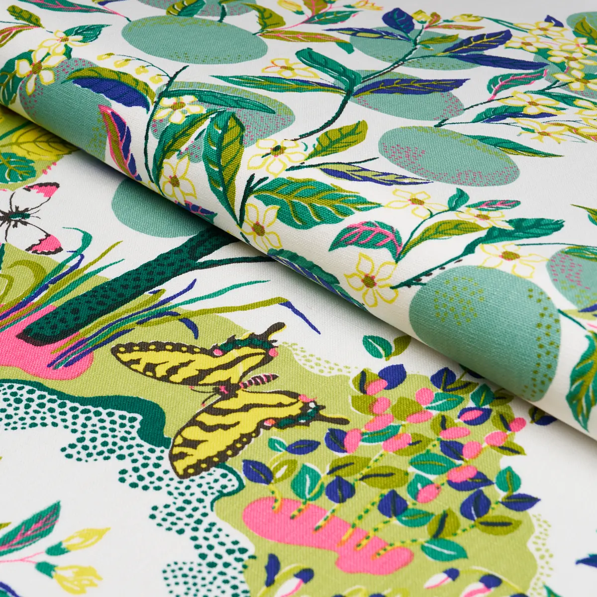 CITRUS GARDEN_ LIME