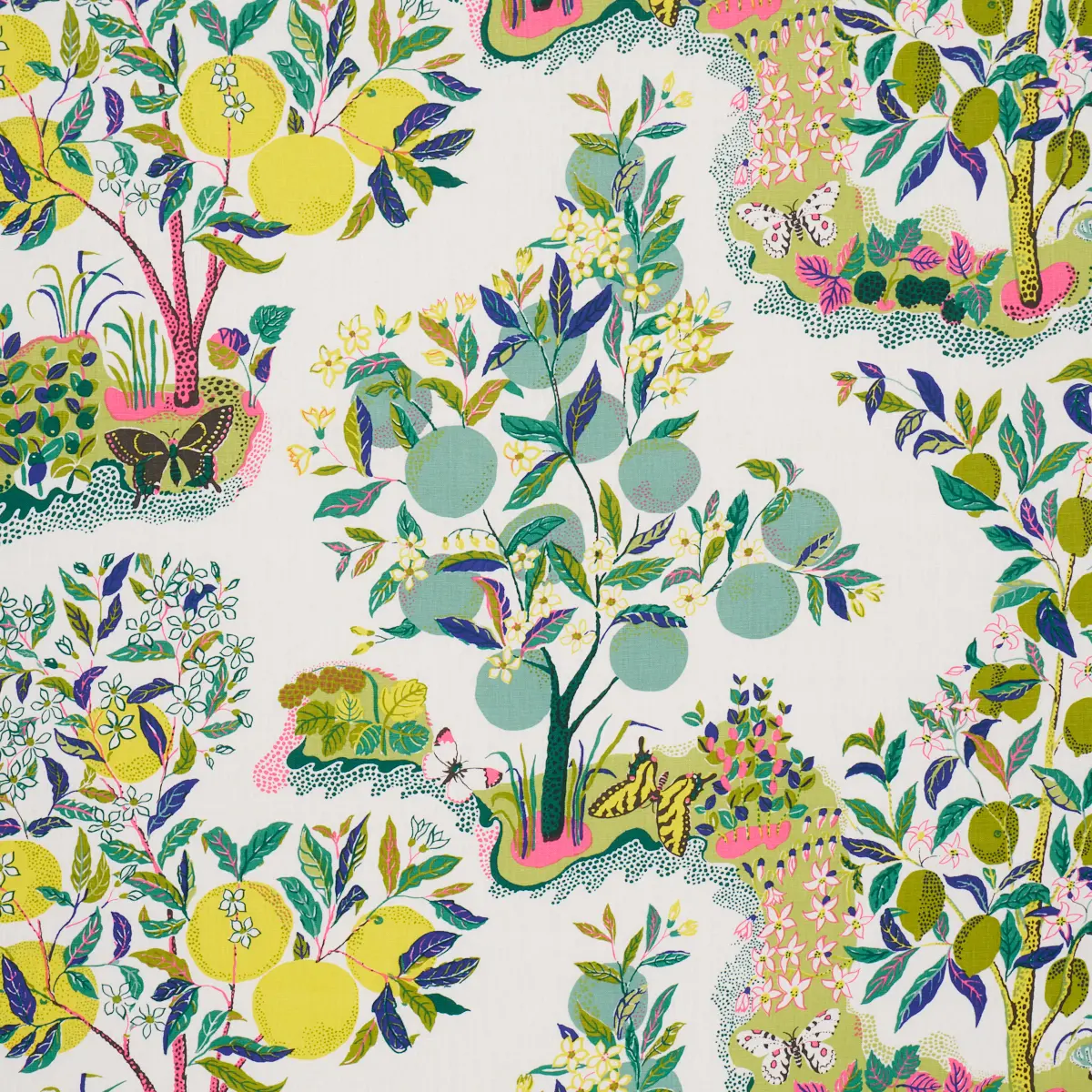 CITRUS GARDEN_ LIME