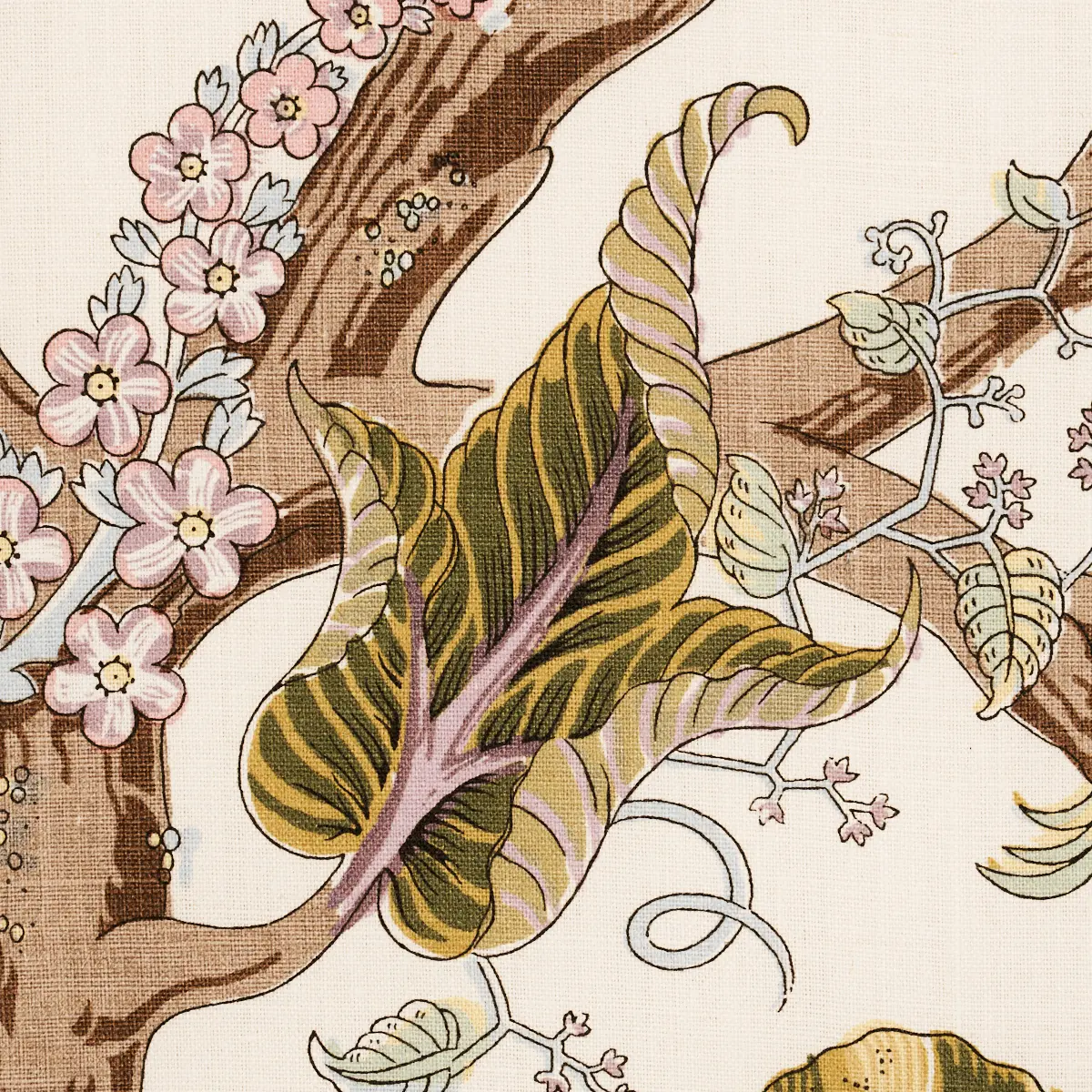 INDIAN ARBRE_ SPRING