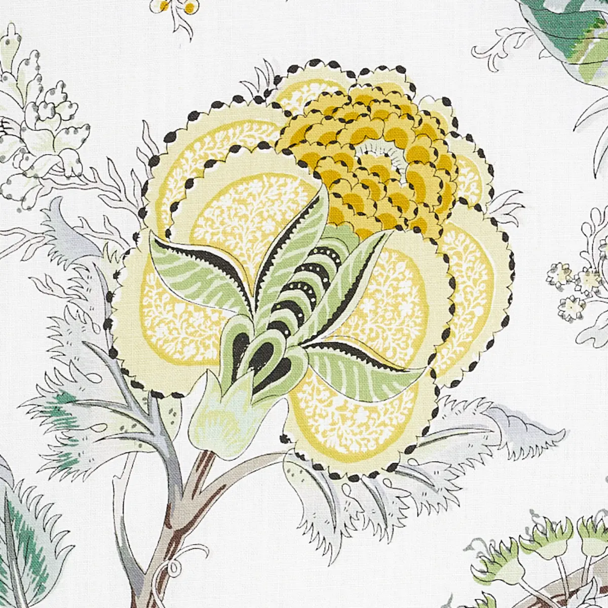 INDIAN ARBRE_ CITRON