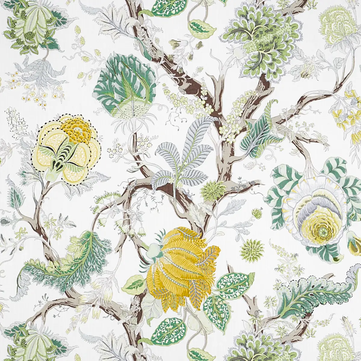 INDIAN ARBRE_ CITRON