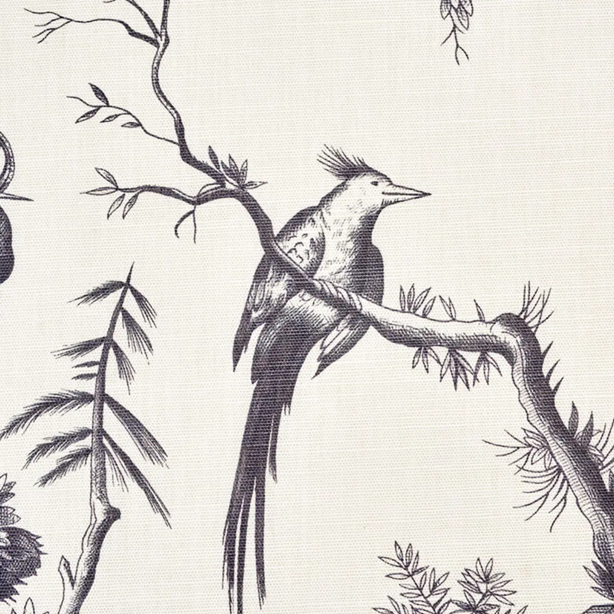 SHENGYOU TOILE_ BLACK
