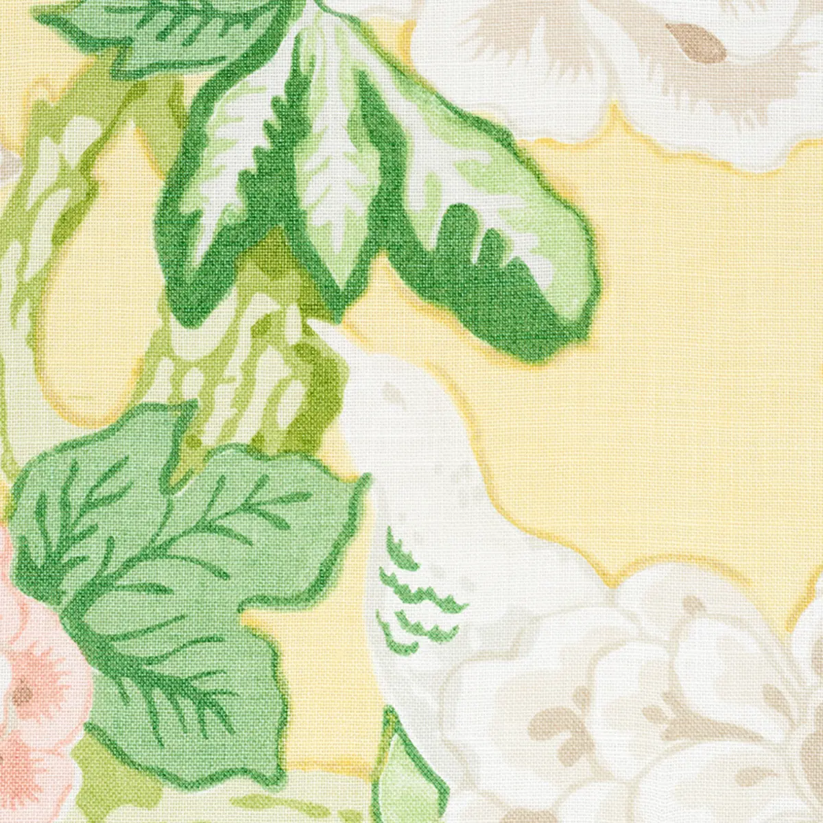 BERMUDA BLOSSOMS_ YELLOW