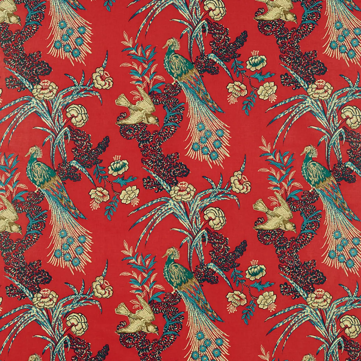 PEACOCK_ RED
