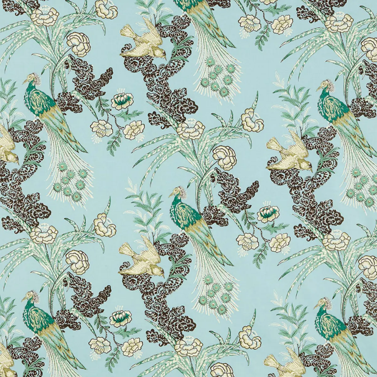 PEACOCK_ AQUA