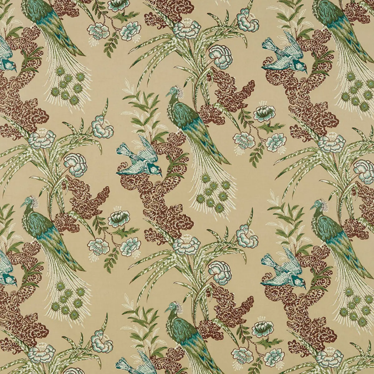 PEACOCK_ BEIGE