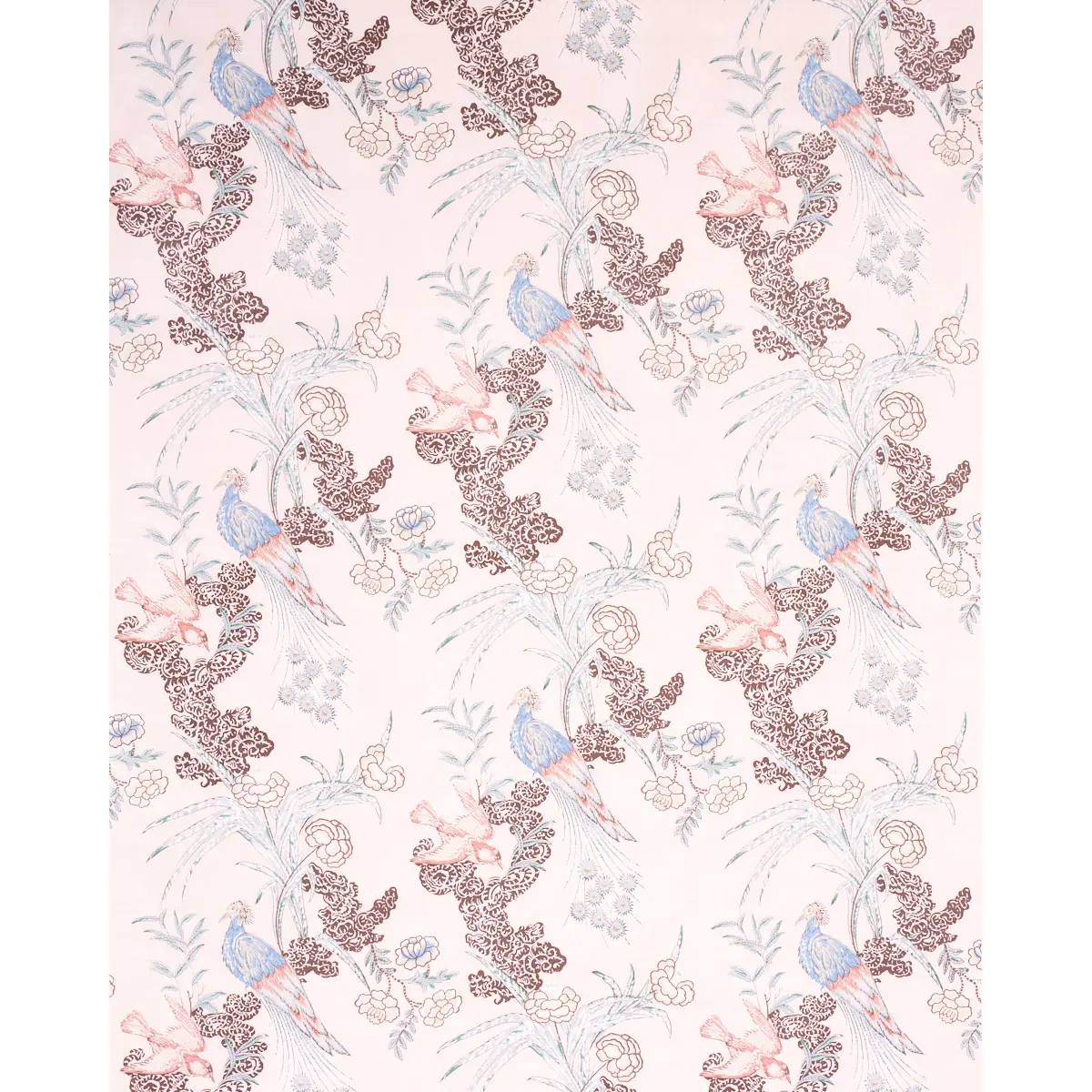 PEACOCK_ BLUSH