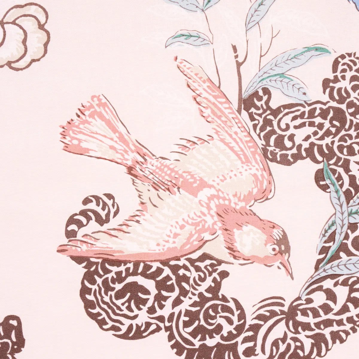 PEACOCK_ BLUSH