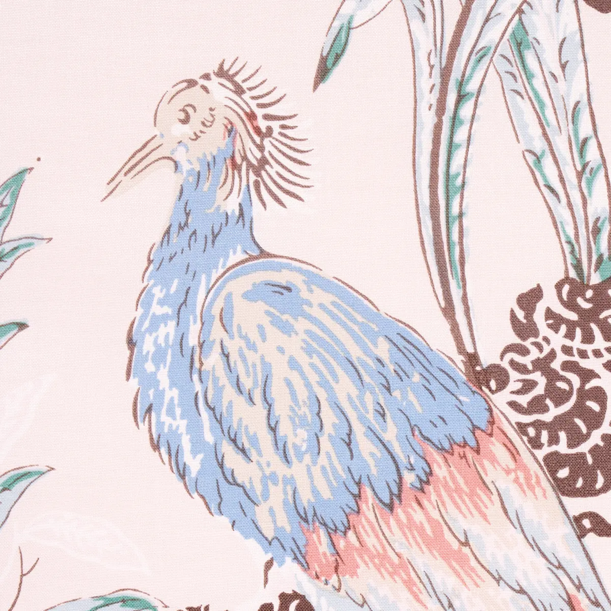 PEACOCK_ BLUSH
