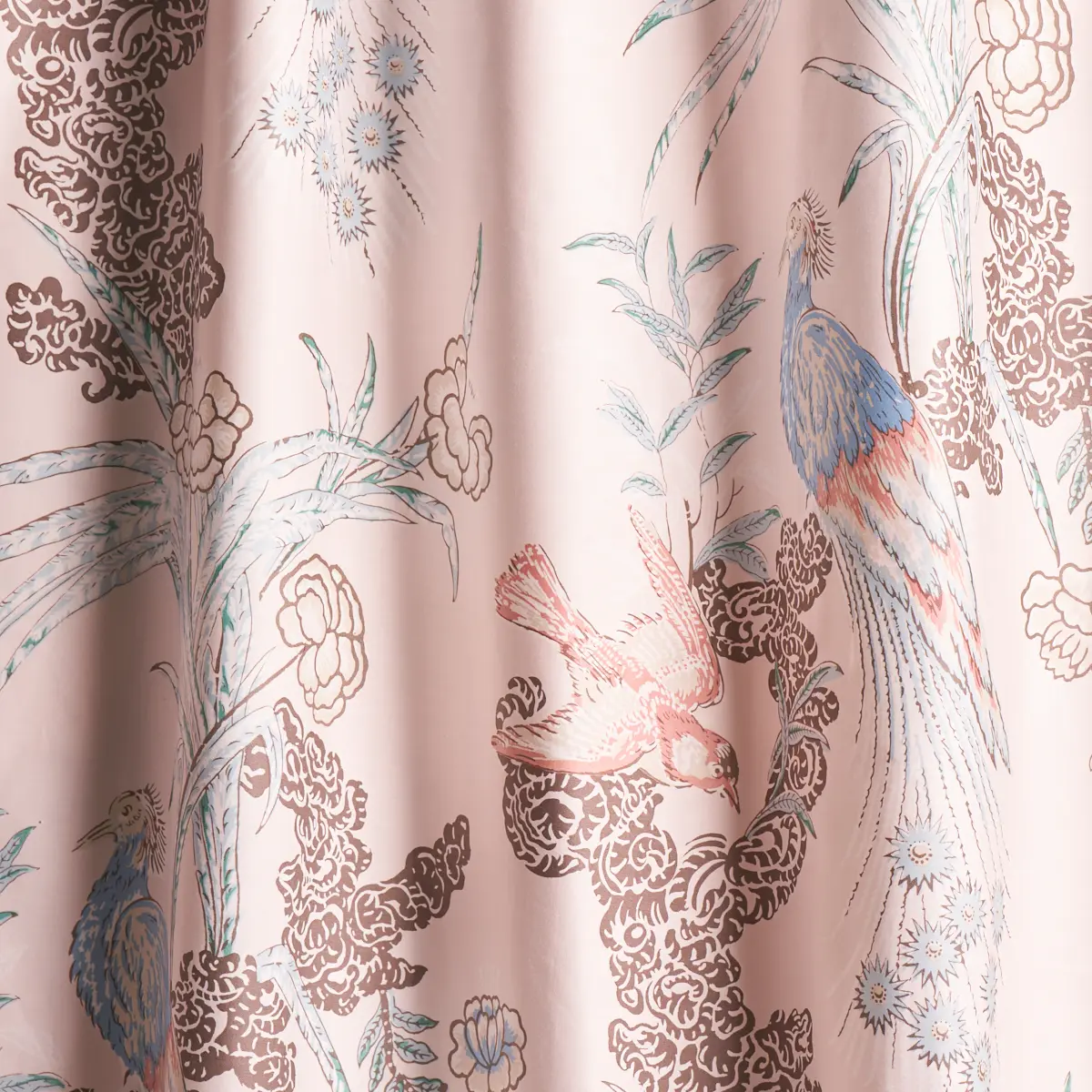PEACOCK_ BLUSH