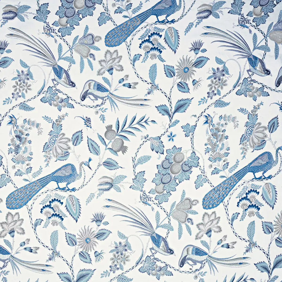CAMPAGNE_ BLEU & GRIS