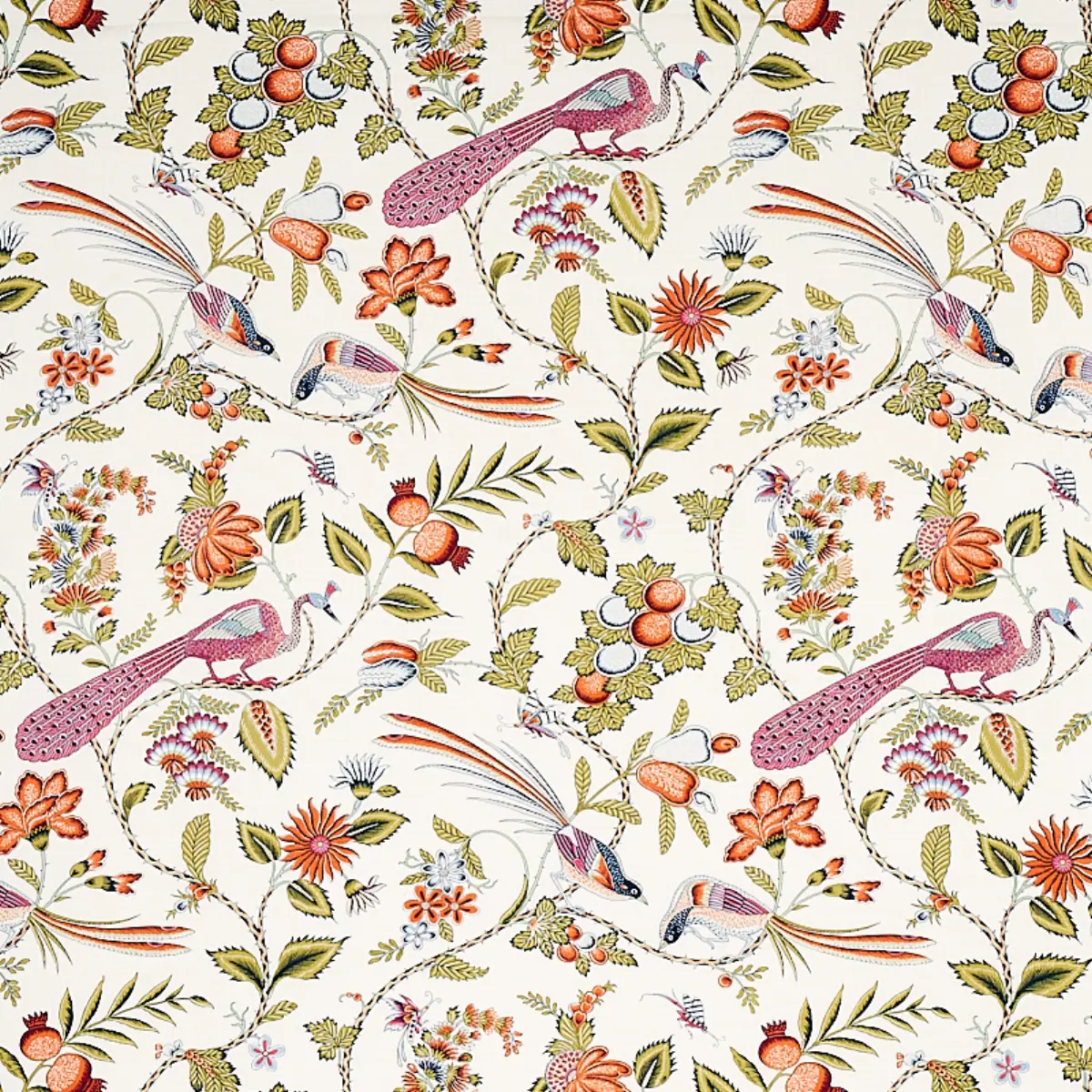 CAMPAGNE_ PERSIMMON & PINK