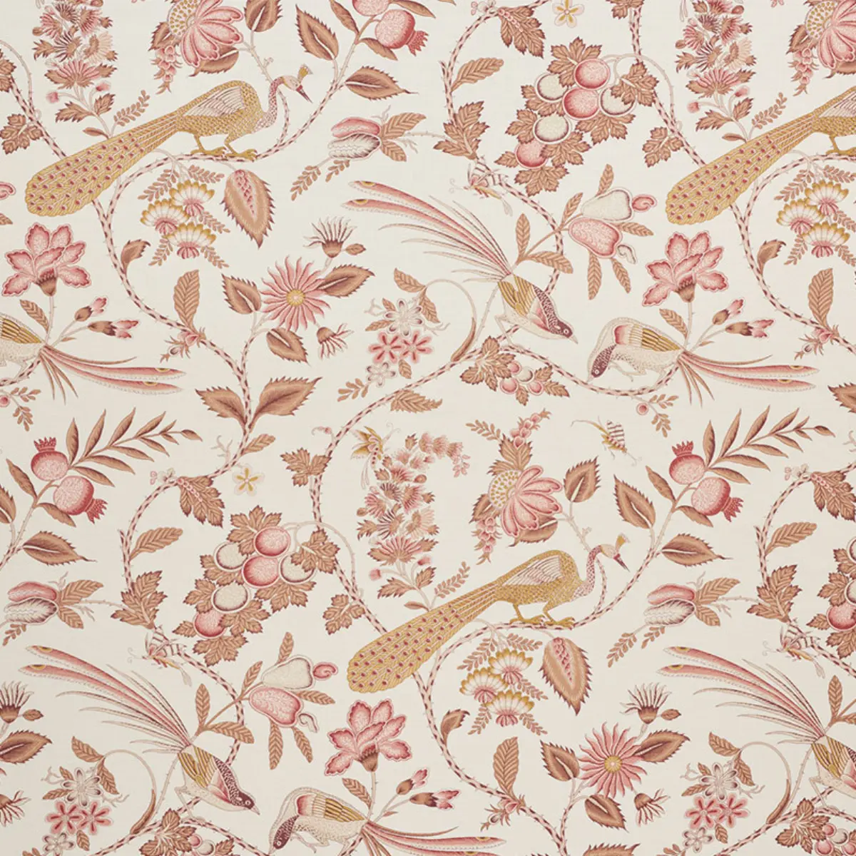 CAMPAGNE_ ROSE & OCHRE