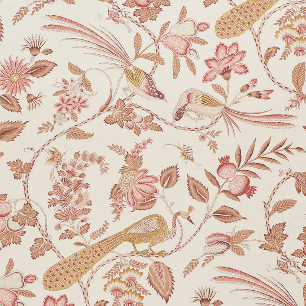 CAMPAGNE_ ROSE & OCHRE