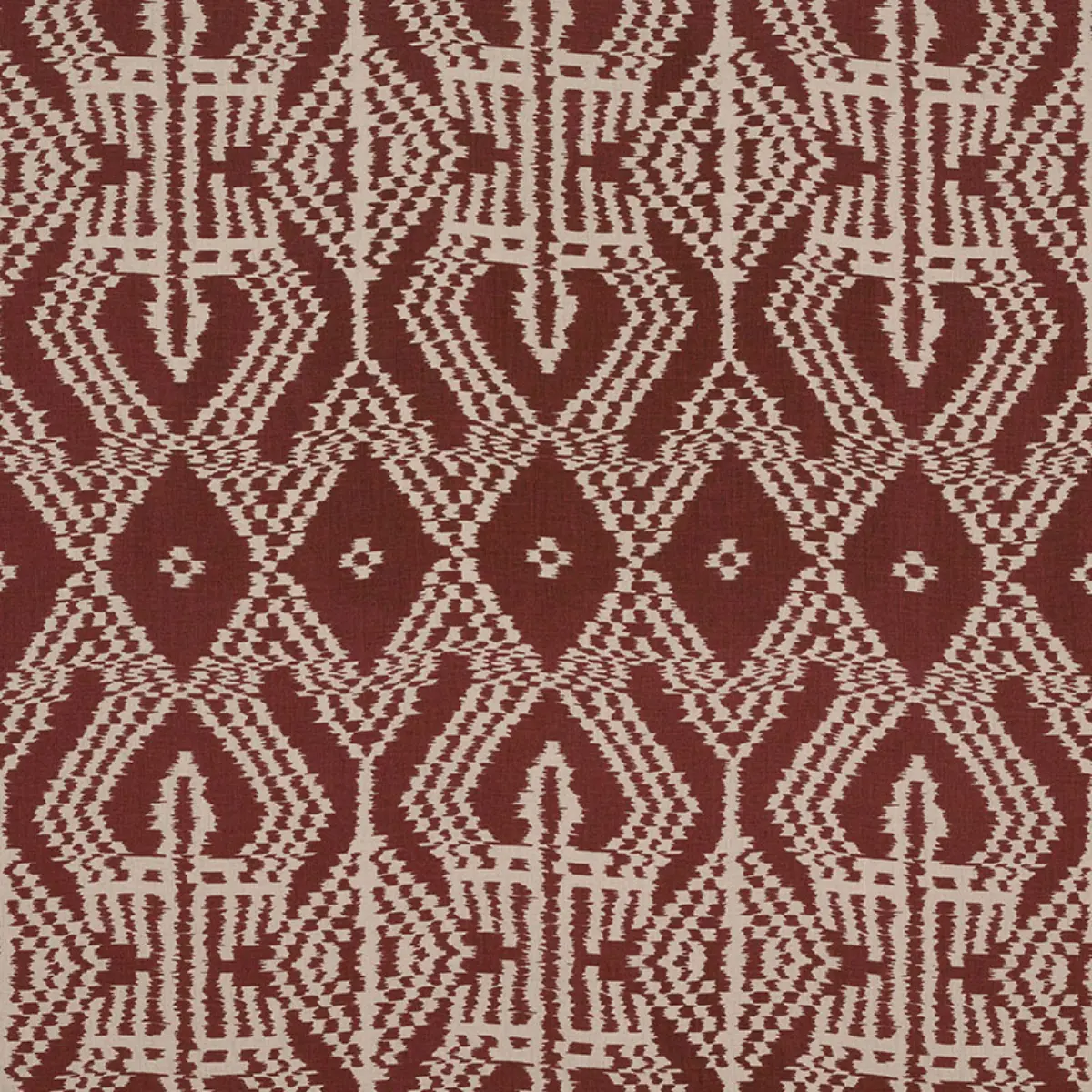 ASAKA IKAT_ RAISIN