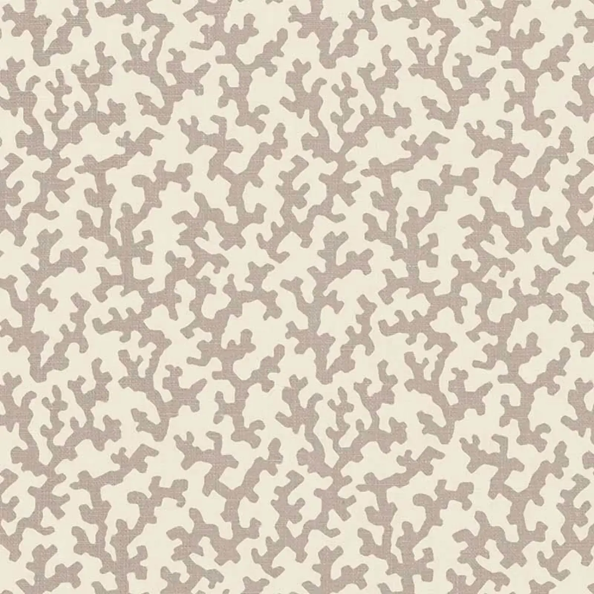 FOLLY_ LILAC