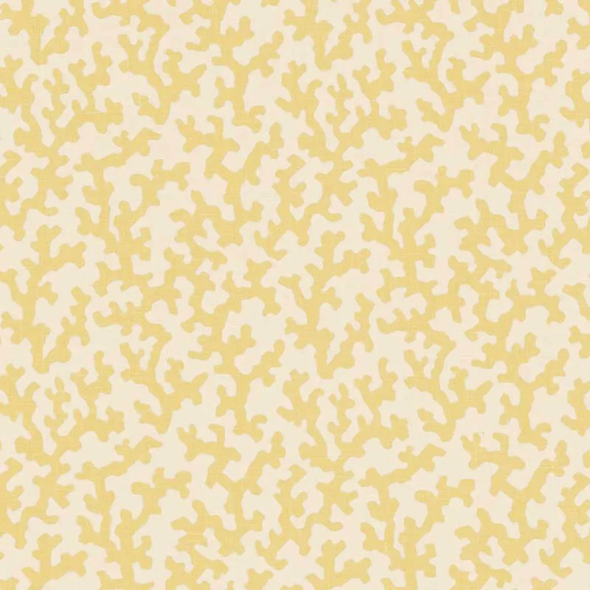 FOLLY_ STRAW