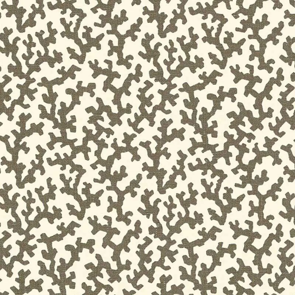 FOLLY_ BERBER BROWN