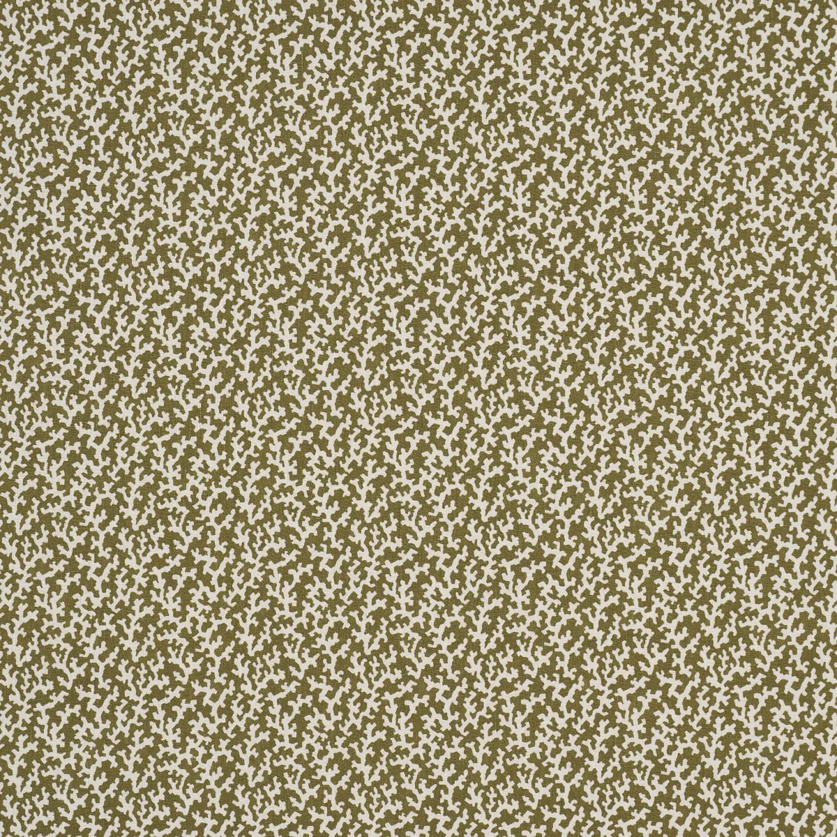 FOLLY_ OLIVE