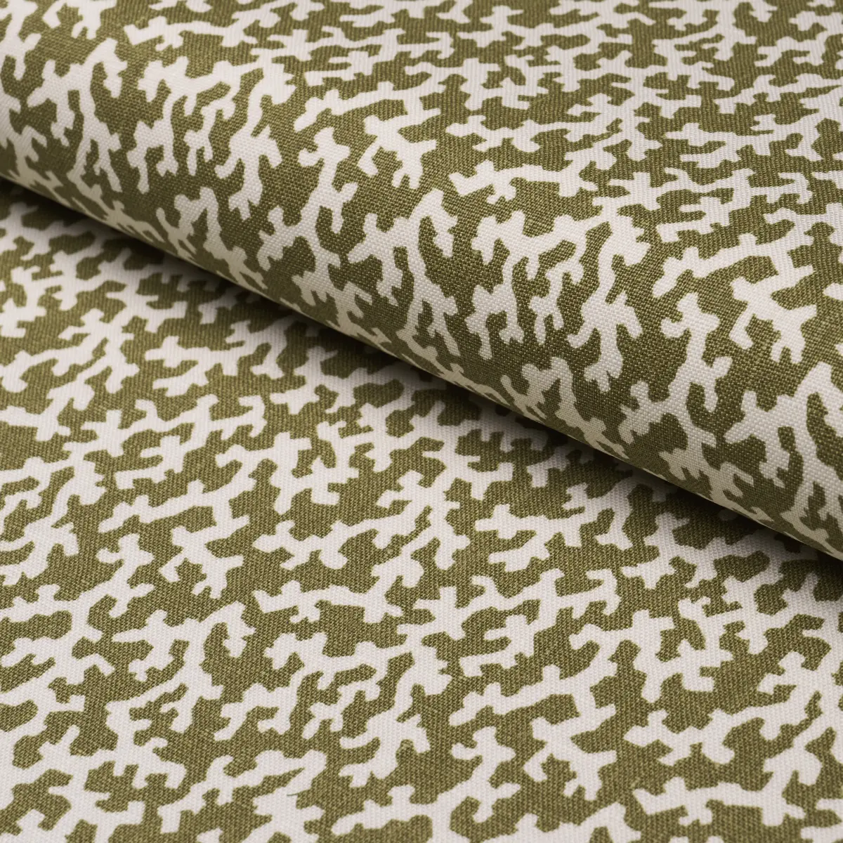 FOLLY_ OLIVE