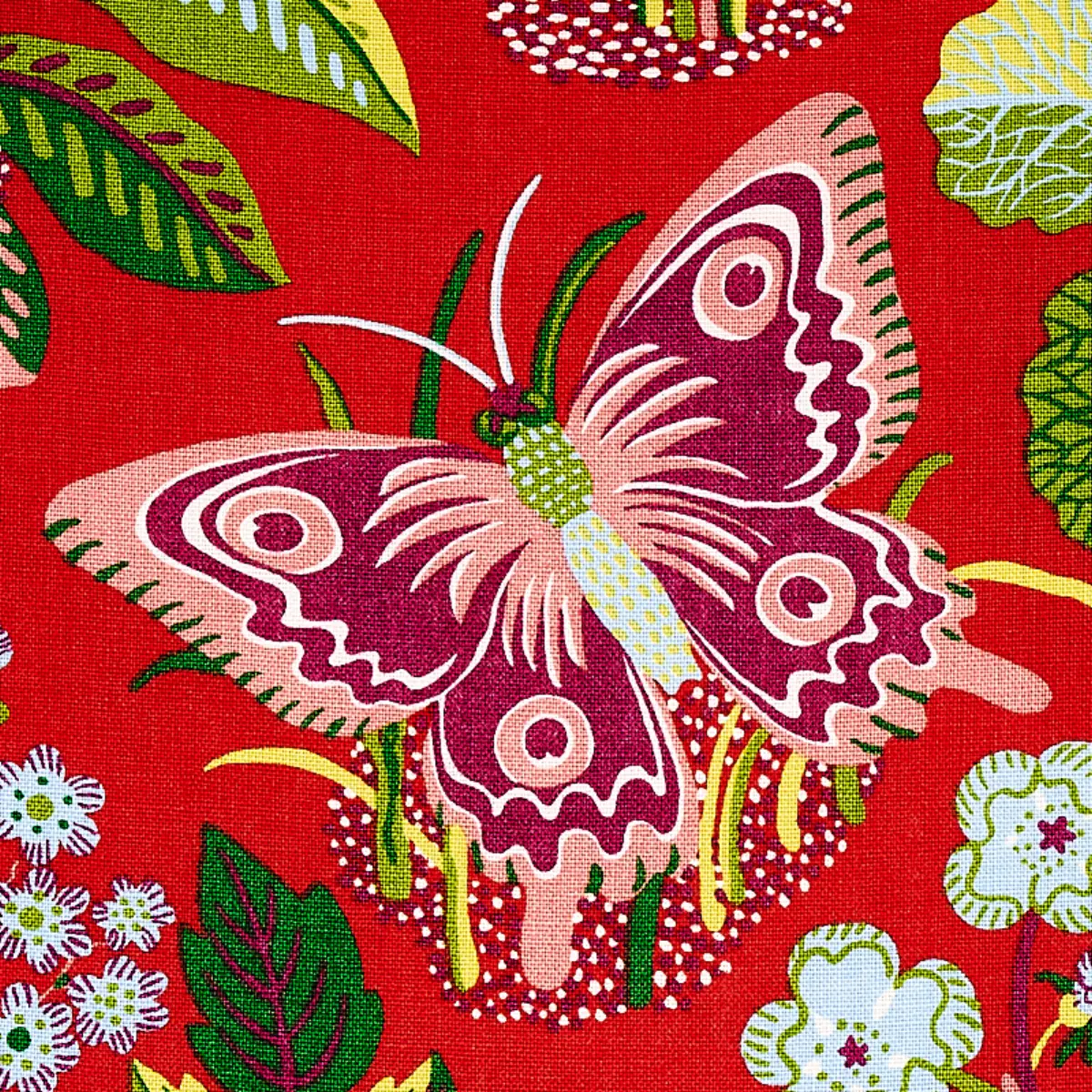 EXOTIC BUTTERFLY_ RED