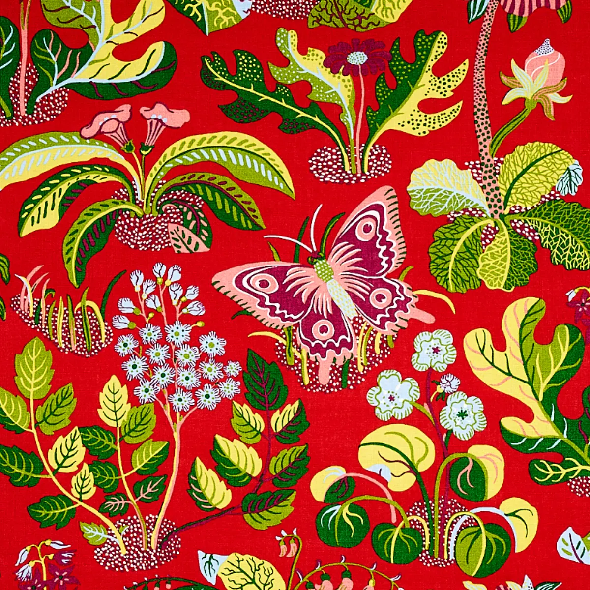 EXOTIC BUTTERFLY_ RED