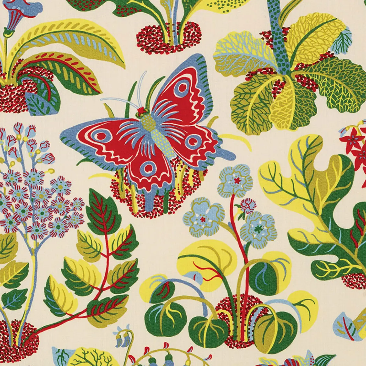 EXOTIC BUTTERFLY_ MULTI