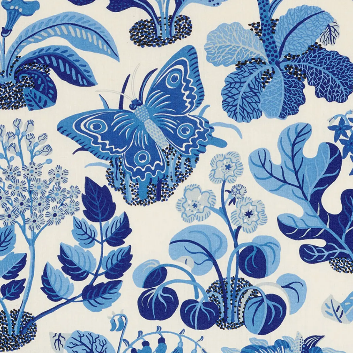 EXOTIC BUTTERFLY_ MARINE