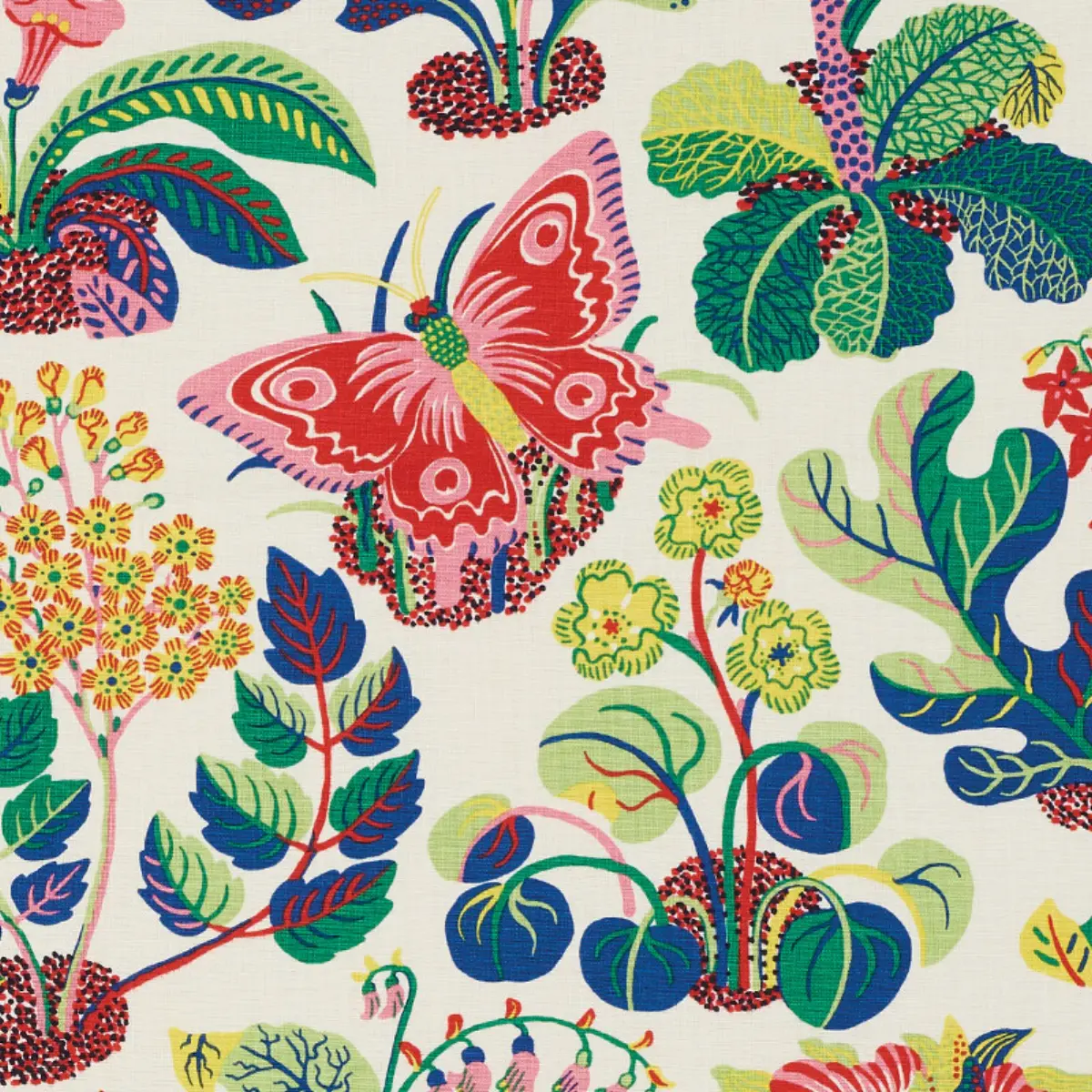 EXOTIC BUTTERFLY_ SPRING