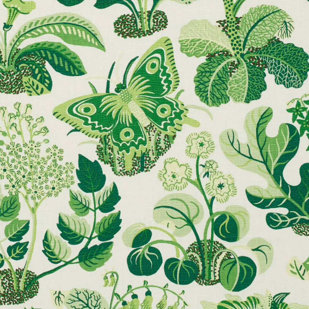 EXOTIC BUTTERFLY_ LEAF