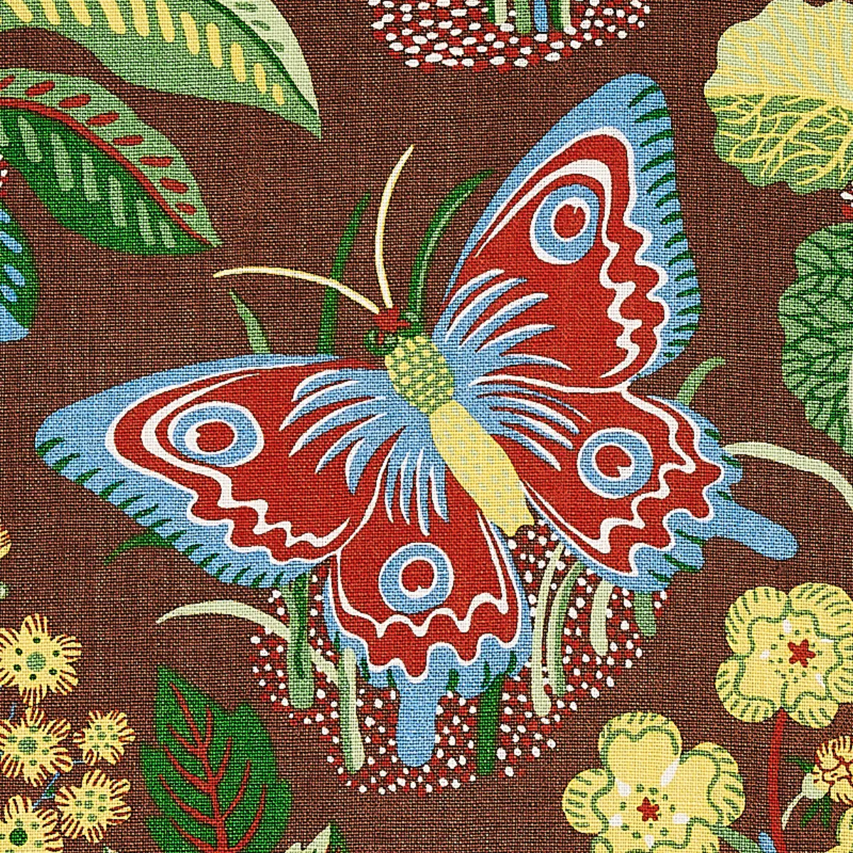 EXOTIC BUTTERFLY_ BROWN