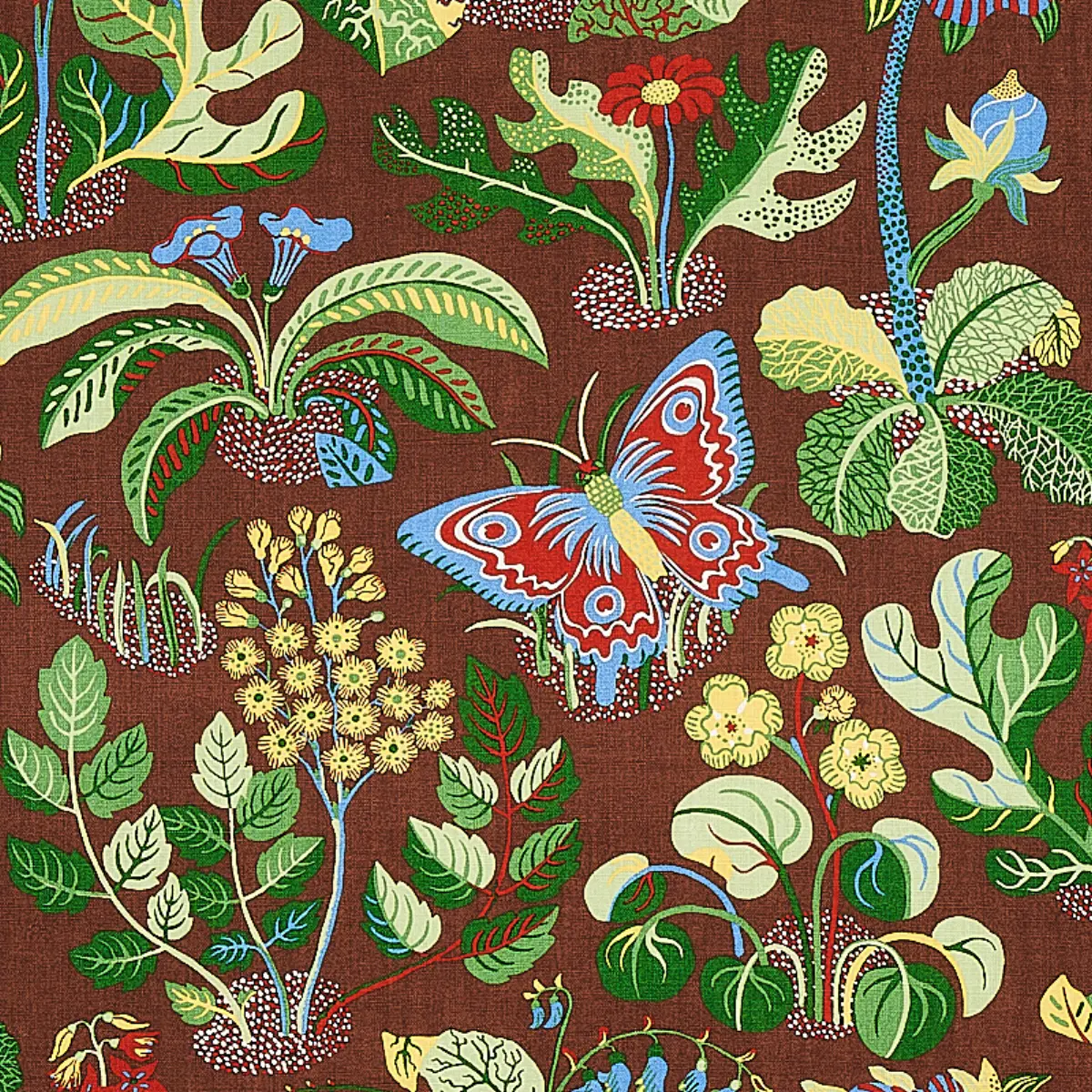 EXOTIC BUTTERFLY_ BROWN