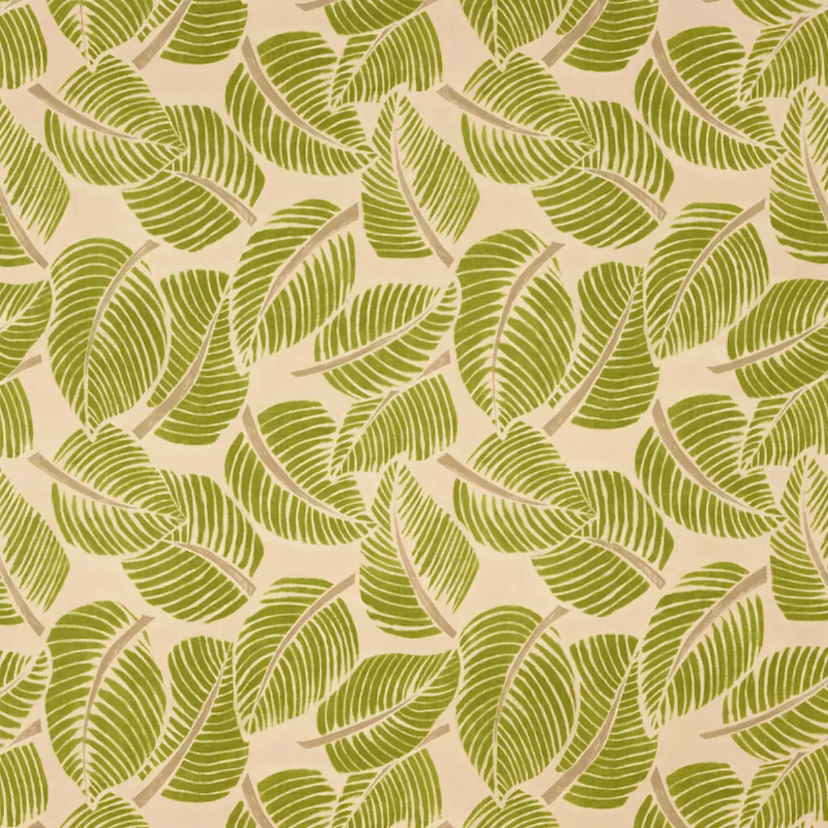 COSTA RICA_ LEAF